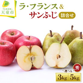 【ふるさと納税】 ラ・フランス & サンふじ 詰合せ 3kg / 5kg ラフランス 洋梨 西洋梨 ふじ りんご 果物 フルーツ セット 秀 のし 贈答 ギフト プレゼント おすそ分け お取り寄せ 旬 秋 冬 期間限定 送料無料 先行予約 【 山形県 天童市 】