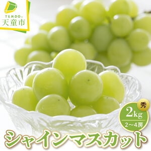 yӂ邳Ɣ[ŁzԂǂ ( VC}XJbg ) Iׂ 1.2kg / 2kg Gi R`Y  ʕ t[c ̂  Mtg v[g  H { Ԍ ①  Yn 