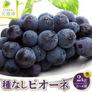 yӂ邳Ɣ[ŁzԂǂ ( Ȃ sI[l ) Iׂ 1.2kg / 2kg ߘa8NY s\ 2026N R`Y  ʕ t[c ̂  Mtg v[g  H { Ԍ ① 