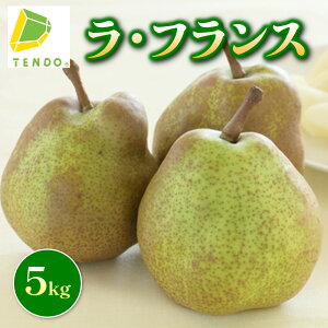 yӂ邳Ɣ[Łz EtX Iׂ 3kg / 5kg G ( 3L 8`12 / 5L 13`18) tX m m ʕ t[c ƒp ̂  Mtg v[g   { H 