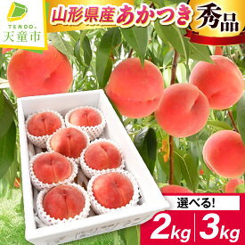 【ふるさと納税】 もも ( あかつき ) 選べる 2kg / 3kg 秀品 大玉 糖度13度以上 令和8年産 先行予約 2026年 山形県産 桃 白桃 果物 フルーツ 贈答 ギフト おすそ分け 期間限定 冷蔵便 送料無料 【 山形県 天童市 】