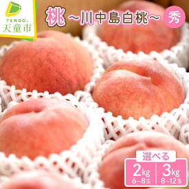 【ふるさと納税】 もも ( 川中島白桃 ) 選べる 2kg / 3kg 秀品 大玉 糖度13度以上 令和8年産 先行予約 2026年 山形県産 桃 白桃 果物 フルーツ のし 贈答 ギフト おすそ分け 期間限定 冷蔵便 送料無料 産地直送 お取り寄せ 【 山形県 天童市 】