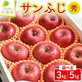 【ふるさと納税】 りんご ( サンふじ ) 選べる 3kg / 5kg ふじ りんご 果物 フルーツ 秀 のし 贈答 ギフト プレゼント おすそ分け お取り寄せ 旬 秋 冬 期間限定 送料無料 先行予約 【 山形県 天童市 】