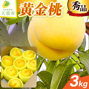 yӂ邳Ɣ[Łz  (  ) Iׂ 2kg / 3kg Gi  ߘa8NY s\ 2026N R`Y   ʕ t[c ̂  Mtg  Ԍ ①  Yn 