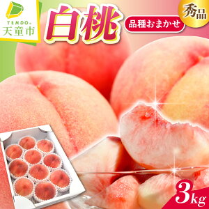 yӂ邳Ɣ[Łz ( i ܂ ) Iׂ 2kg / 3kg Gi ߘa8NY s\ 2026N R`Y  ʕ t[c ̂  Mtg  Ԍ ①  Yn 