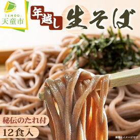 【ふるさと納税】 年越し 生そば 12食入生麺 蕎麦 12食 12人前 120g×12 つゆ付き のし 贈答 ギフト プレゼント お取り寄せ ご当地グルメ 冷蔵 送料無料 【 山形県 天童市 】