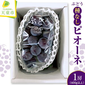 yӂ邳Ɣ[ŁzԂǂ ( Ȃ sI[l ) 600g ȏ 1[ ߘa8NY s\ 2026N  lC  t[c ʕ  R`  Yn  y R` Vs z