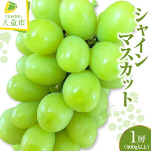 yӂ邳Ɣ[ŁzVC}XJbg 1[ i 600g ȏ j ߘa8NY s\ 2026N Ԃǂ lC  t[c ʕ  R`  Yn  y R` Vs z