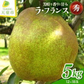 【ふるさと納税】 ラフランス 5kg 秀 (12～18玉) ラ・フランス 洋梨 西洋梨 果物 フルーツ ご家庭用 贈答 ギフト プレゼント おすそ分け お取り寄せ 旬 秋 冬 期間限定 山形 産地直送 送料無料 先行予約 【 山形県 天童市 】