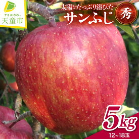 【ふるさと納税】 りんご （ サンふじ ） 5kg リンゴ 秀 12 〜 18 玉 果物 フルーツ 家庭用 贈答 ギフト プレゼント おすそ分け お取り寄せ 秋 旬 冬 期間限定 産地直送 送料無料 先行予約 【 山形県 天童市 】