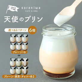 【ふるさと納税】 天使のプリン 6個 選べる 2パターン プリン スイーツ 洋菓子 プレーン 抹茶 チョコ 冷凍 送料無料 バレンタイン 【 山形県 天童市 】