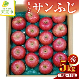 【ふるさと納税】 りんご サンふじ 5kg 令和8年産 先行予約 2026年 ふじ りんご 果物 フルーツ 秀 16玉 〜 18玉 のし 贈答 ギフト プレゼント おすそ分け お取り寄せ 旬 秋 冬 期間限定 送料無料 【 山形県 天童市 】