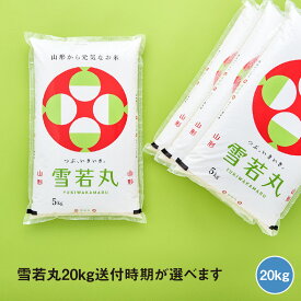 楽天市場 ふるさと納税 米 kg はえぬきの通販