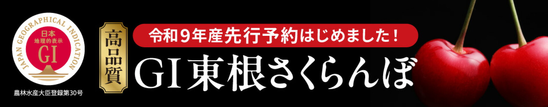 高品質 GI東根さくらんぼ 令和9年産先行予約はじめました！