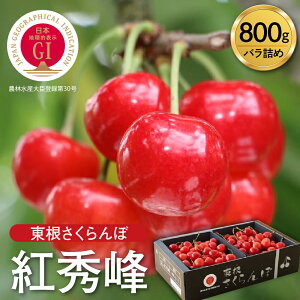 yӂ邳Ɣ[Łz y2026NY s\zu GI  v gG 800g ol / t[c ʕ  TN{ LTCY  ϔ Ԍ ①z s\  