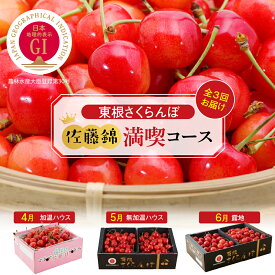 【ふるさと納税】［定期便 3回］2026年産 先行予約 GI 東根 さくらんぼ 佐藤錦 満喫コース 【2026年4月下旬～5月中旬頃スタート】サクランボ フルーツ 果物 500g 800g 900g 計2.2kg 令和8年産 小分け 化粧箱 産地直送 期間限定 特産品 お取り寄せ 東北 山形県 東根市