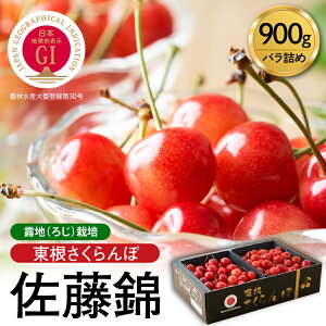 yӂ邳Ɣ[Łzy2026NY s\zLO 1 l GI   900g ol / ߘa8NY  TN{ `F[ t[c ʕ  ϔ e 