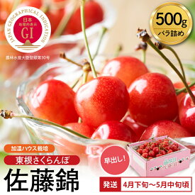 【ふるさと納税】＼超先取り4～5月発送／ 2027年産 GI 佐藤錦 「 東根さくらんぼ 」 500g バラ詰め 加温ハウス栽培 | 先行予約 令和8年 さくらんぼ チェリー フルーツ 果物 最高級 産地直送 お取り寄せ 贈答 ギフト 季節限定 ご当地 特産 産地 直送 送料無料 山形県 東根市