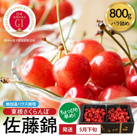 【ふるさと納税】＼先取り5月発送／ 2026年産 GI 佐藤錦 「東根さくらんぼ」 800g バラ詰め 無加温 ハウス栽培 | 先行予約 令和8年 さくらんぼ チェリー フルーツ 果物 最高級 産地直送 旬 お取り寄せ 贈答 ギフト 季節限定 ご当地 特産 産地 直送 送料無料 山形県 東根市