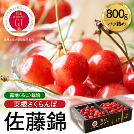 【ふるさと納税】【2027年産 先行予約】★ランキング 1位 獲得★ GI東根 さくらんぼ 佐藤錦 800g バラ詰め / 令和9年産 さくらんぼ サクランボ チェリー フルーツ 果物 くだもの 化粧箱 大容量 ご当地 特産 産地直送 先行予約 期間限定 送料無料 山形県 東根市