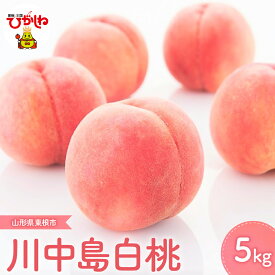 【ふるさと納税】もも 「 川中島 白桃 」5kg 2024年産 桃 モモ フルーツ 果物 くだもの 川中島白桃 箱入り 化粧箱 期間限定 大容量 冷蔵配送 先行予約 お取り寄せ グルメ ご当地 特産 産地直送 送料無料 東北 山形県 東根市