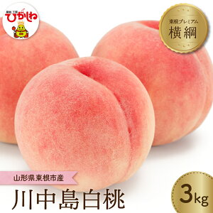 【ふるさと納税】【 2026年産 先行予約 】 もも【横綱】川中島白桃 3kg JA提供 糖度計 高糖度 光センサー選別 / 桃 白桃 フルーツ 果物 くだもの 箱入り 化粧箱 期間限定 大容量 冷蔵配送 先行予