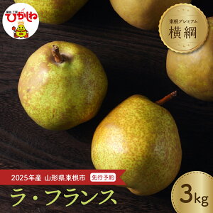 yӂ邳Ɣ[Łz 2025NY s\ mȂ y j zEtX 3kg / tX mȂ m 悤Ȃ t[c ʕ k R` s 