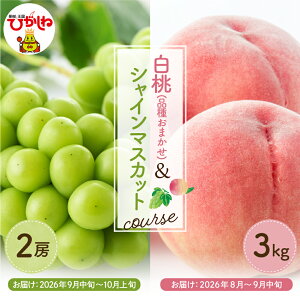 �y�ӂ邳�Ɣ[�Łz�m����� 2��n2026�N �ʕ������ �i ���� �i�킨�C�� 3kg�A�V���C���}�X�J�b�g 2�[ �j| ���� �V���C���}�X�J�b�g �}�X�J�b�g �Ԃǂ� �� ���� �ӂ邳�� �t���[�c �ʕ� �t���[�c