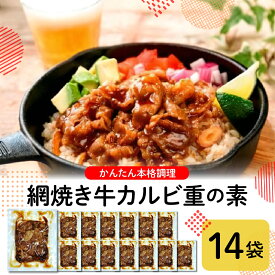 【ふるさと納税】かんたん本格調理≪牛飯≫網焼き牛カルビ重の素 冷凍食品 惣菜 おかず お弁当 ランチ 丼 手軽 簡単 時短料理 おうちごはん 業務用 山形県 東根市