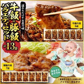 【ふるさと納税】 ★高評価 4.80★ 牛飯 豚飯 ( 選べる : A～E ) / 牛カルビ重の素 イベリコ豚重の具 冷凍食品 惣菜 おかず お弁当 ランチ 丼 手軽 簡単 時短料理 おうちごはん 温めるだけ 業務用 惣菜・加工品 山形県 東根市
