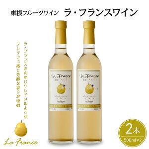 yӂ邳Ɣ[ŁzC EtXC 500ml × 2{ Zbg / {C t[cC CZbg Y tX    m ʎ AR[ ̓ ̓ hV̓ LO