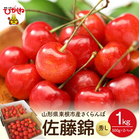 【ふるさと納税】 2026年 先行予約 さくらんぼ 佐藤錦 秀L 1kg バラ詰め ( 500g × 2P )/ フルーツ 果物 くだもの 期間限定 令和8年産 2026年産 先行受付 取り寄せ グルメ ご当地 特産 産地直送 冷蔵 送料無料 東北 山形 東根市 《6/10～6/29順次出荷予定》