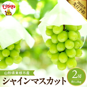 �y�ӂ邳�Ɣ[�Łz2026�N ��s�\�� �Ԃǂ� �V���C���}�X�J�b�g �y���e�ʂ��I�ׂ�z ��600g ( 1�[�� ) / ��1.2kg ( 2�[�� )| �}�X�J�b�g 1�[ 2�[ �t���[�c �ʕ� �������� �Y�n���� ���Ԍ��� ���Y�i ����