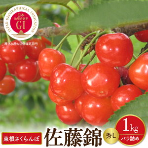 yӂ邳Ɣ[Łzy 2026NY s\ zGI    GL 1kg ol ( 500g ×2P ) t[c ʕ `F[ Ԍ st o 1L  O n Y Yn 