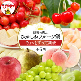 【ふるさと納税】［定期便 6回］ 2026年産 先行予約 晴天の恵み！ひがしねフルーツ祭 ちょっとずつ定期便！全6回（2026年6月からスタート）/ さくらんぼ 佐藤錦 紅秀峰 桃 白桃 ぶどう シャインマスカット 洋梨 ラフランス くだもの 果物 フルーツ 山形県 東根市