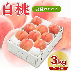 yӂ邳Ɣ[Łz 2025NY s\  i킨܂ ( Iׂe 2kg 3kg 5kg )    s[` t[c ʕ   ϔ Ԍ e ①z s\  O
