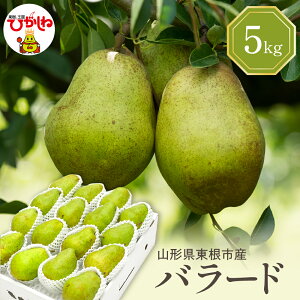 yӂ邳Ɣ[Łzyߘa7NY s\zm o[h ( Iׂe : 2kg / 5kg ) Gi ϔ / mȂ m miV t[c ʕ  ϔ Ԍ YnY n 