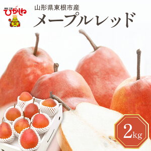 yӂ邳Ɣ[Łzyߘa7NY s\z m [vbh ( Iׂe : 2kg / 5kg ) Gi ϔ / m miV mȂ  t[c ʕ   Yn  