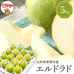 yӂ邳Ɣ[Łzyߘa7NY s\z m Ghh ( Iׂe : 2kg / 5kg ) Gi ϔ / mȂ m miV t[c ʕ  ϔ Ԍ YnY n 