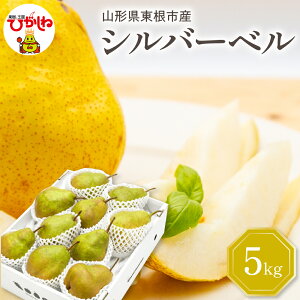 yӂ邳Ɣ[Łzyߘa7NY s\z m Vo[x ( Iׂe : 2kg / 5kg ) Gi ϔ / mȂ m miV t[c ʕ  ϔ Ԍ YnY n 
