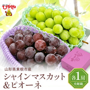 yӂ邳Ɣ[Łz2026N Ԃǂu VC}XJbg  sI[l vGi e1[ v 2[  1.2kg | uhE  t[c ʕ  st s\ ߘa8NY Ԍ  ϔ Y