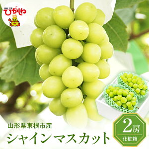 yӂ邳Ɣ[Łz2026NY Ԃǂ VC}XJbg ( Iׂ: 1[ / 2[ ) | VC }XJbg uhE  t[c ʕ  Ԍ st ߘa8NY  ϔ YnY 