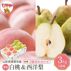 yӂ邳Ɣ[Łz2026N s\  m lߍ킹 3kg   miV m t[c  ʕ Zbg  ϔ Ԍ e s\  O n Y Y