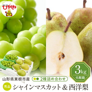 yӂ邳Ɣ[Łz2026N s\ VC}XJbg m 3kg lߍ킹 |  uhE Ԃǂ }XJbg m miV t[c  ʕ Zbg  ϔ Ԍ e 