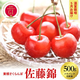 【ふるさと納税】2026年産【5月お届け】GI東根さくらんぼ 佐藤錦 特秀品 Lサイズ 500g (バラパック入り )|フルーツ 果物 くだもの サクランボ チェリー 小分け 箱入り 化粧箱 期間限定 冷蔵配送 ご当地 特産 産地 直送 お取り寄せグルメ 東北 山形県 東根市