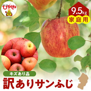 yӂ邳Ɣ[Łz ߘa7NY 󂠂  Tӂ ( Iׂ : 4.5kg / 9.5kg )/ S Abv ӂ ƒp  KiO s t[c ʕ  ϔ Ԍ YnY n 