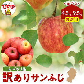 【ふるさと納税】 令和7年産 訳あり りんご サンふじ (選べる : 4.5kg / 9.5kg )/ リンゴ アップル さんふじ 家庭用 傷 規格外 不揃い フルーツ 果物 くだもの 化粧箱 期間限定 産地直産 ご当地 お取り寄せグルメ 大容量 送料無料 国産 東北 山形県 東根市