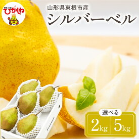 【ふるさと納税】2026年産 西洋梨 シルバーベル ( 選べる内容量 : 2kg / 5kg ) 秀品 化粧箱入り | 洋なし 洋梨 洋ナシ フルーツ 果物 くだもの 化粧箱 期間限定 産地直産 ご当地 お取り寄せグルメ 送料無料 国産 東北 山形県 東根市