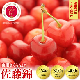 【ふるさと納税】 さくらんぼ 佐藤錦 温室栽培 ＜ 2026年 5月お届け ＞ ( 選べる内容量 : 24粒 / 300g /400g ) | GI東根さくらんぼ サクランボ フルーツ 果物 くだもの 手詰め 化粧箱 期間限定 冷蔵配送 先行予約 ご当地 特産 産地直送 送料無料 東北 山形 東根市