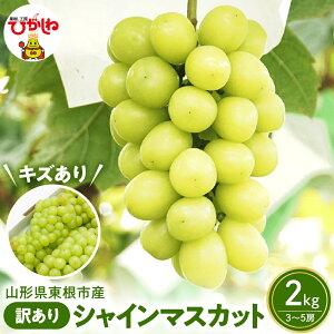 yӂ邳Ɣ[Łz 2026NY s\ Ԃǂ 󂠂 VC}XJbg 2kg (3`5[) | A  uhE }XJbg ߘa8N st  s ʕ t[c  ①z 